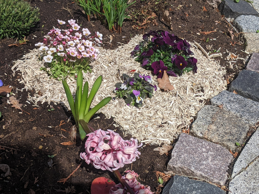 Wie verwende ich Hanfmull richtig im Garten?